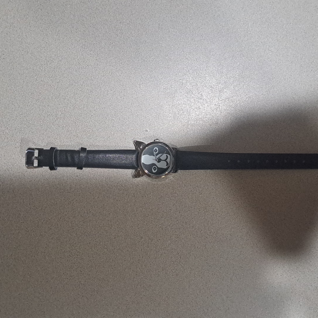 Bull Dog Watch C Brand